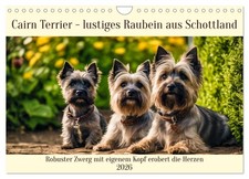 Cairn Terrier - un drôle de
