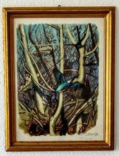 Tableau Robert Hainard 1906-99