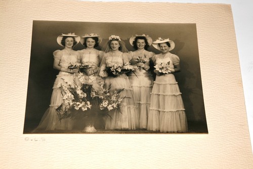 Bridal wedding bridesmaids - bridal,