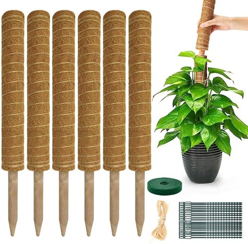Tuteur plante monstera 6pcs - tuteur,