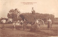 Old postcard 14 NOTRE NORMANDIE / LA RECOLTE DU HAY