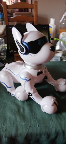 Power puppy mon - power,