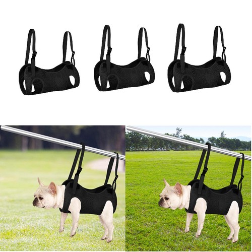 Pet grooming hammock - pour, chat