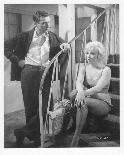 Marilyn monroe photo - photo, still