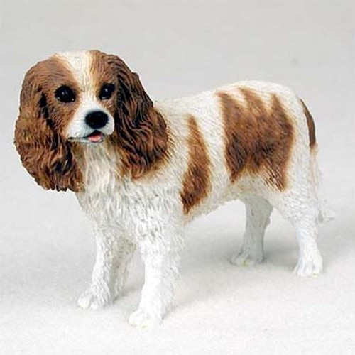 Cavalier king charles - charles, brown