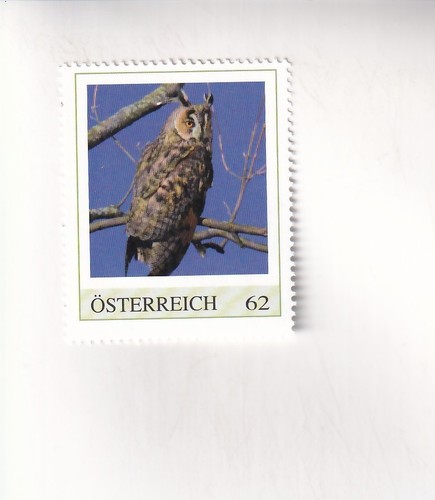 Timbre autriche eule hibou - timbre,