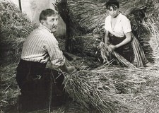 PHOTO PRESS TELEVISION FILM LA MUMENT VERTE MIREILLE PERREY