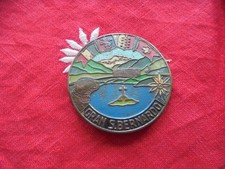 Rare plaque de calandre  du