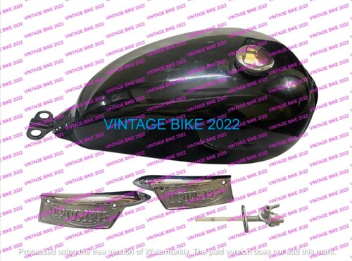 Triumph bonneville t100 - triumph,
