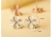 Paire de Boucles d'oreille