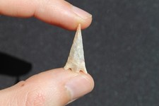 Préhistoire Néolithique Pointe de Flèche Silex 2,4 cm Mali Sahara Biface