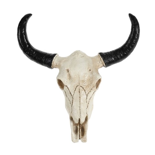 Crâne vache en résine - vache,