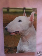 Carnet aimanté à feuilles  -