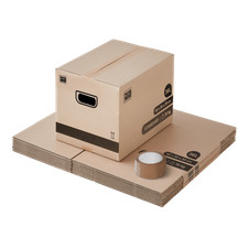 Pack and Move - Lot 10 cartons