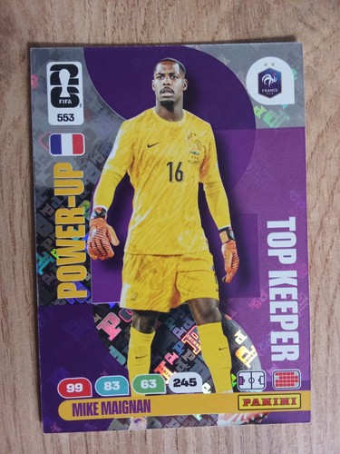 Carte panini speciale - panini, world