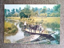 CPSM CPM MARSHES POITEVIN TRANSPORT OF ANIMALS COW HORSE 