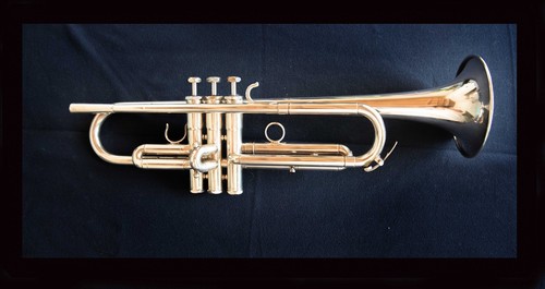 Schilke beryllium trumpet - ,