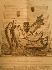 Cartoon 1877 - Danube Sturgeons Detangés par des Bombes