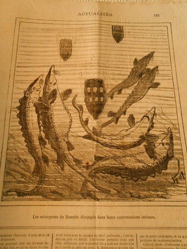 Caricature 1877 les - caricature,