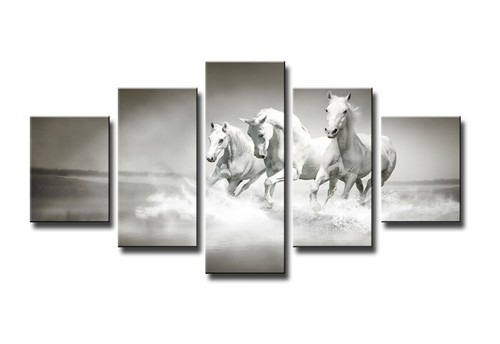 Images sur toile - sur, cadre