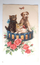 Carte Postale Ancienne  Chats chien bel état