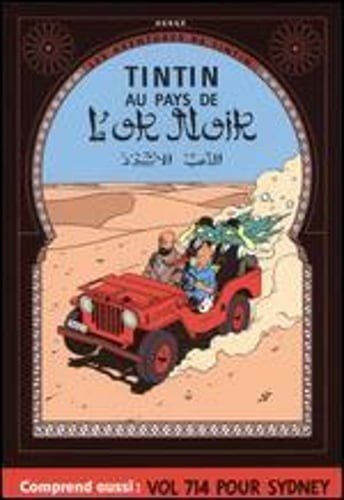 Les aventures tintin au - de, tintin: