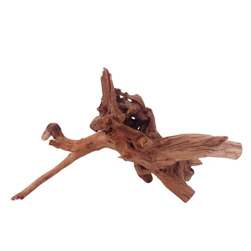 Aquaone racine driftwood - aquaone,