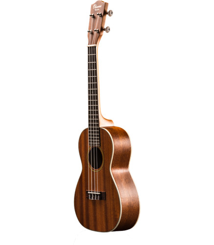 Ukulele ohana concert - ukulele,