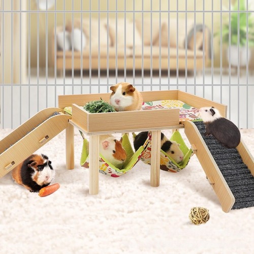 Accessoire cage cochon inde - accessoire, d'inde