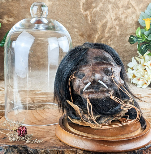 Shrunken head reproduction - shrunken,