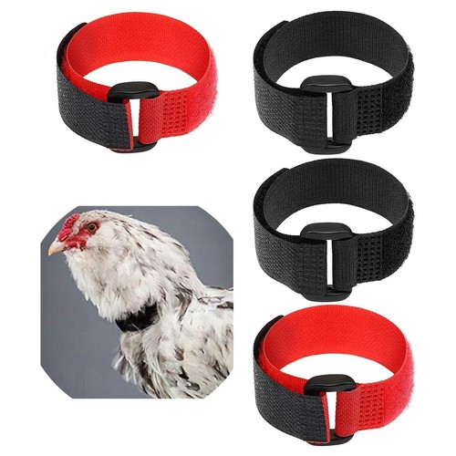Collier anti corbeau pour - 4x,