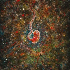 Iterum Nata Trench of