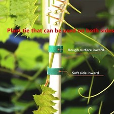 Ruban adhésif pour plantes