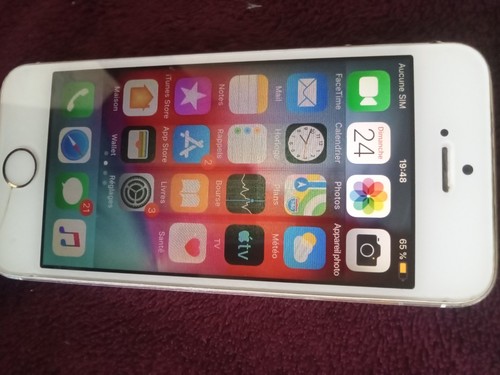 Apple iphone go - 5s,