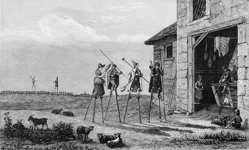 Landes bergers et - landes,