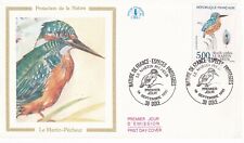 Envelope 1st day stamp 1991 BIRD THE KINGFISHER fisherman 1