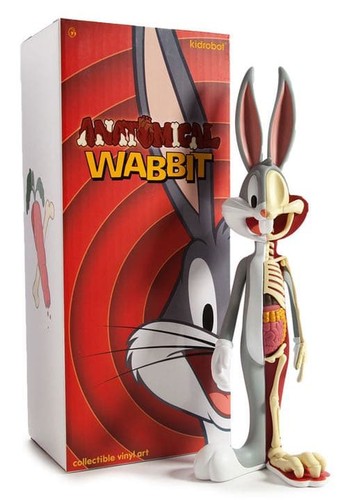 Figurine squelette anatomique