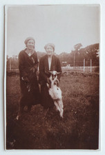 Two Chic Women Pose Fun Goat - Old Photo Snapshot