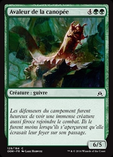 Mtg magic ogw canopy - ogw, (x4)