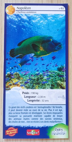 Carte merveilles monde - carte,