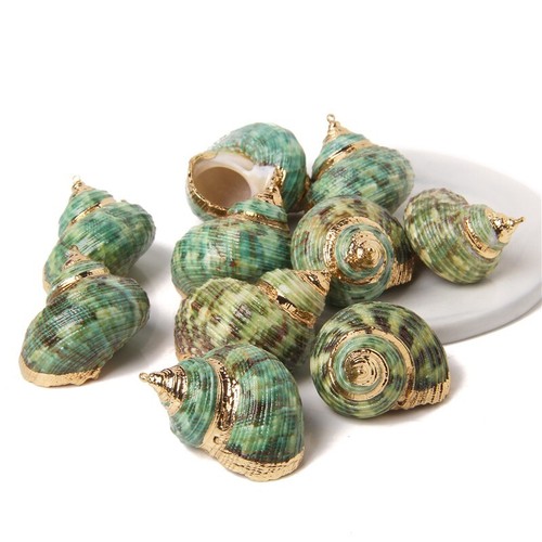 Pendentif coquillage - un,