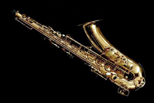 Brand new 2026 yanagisawa - 2026,