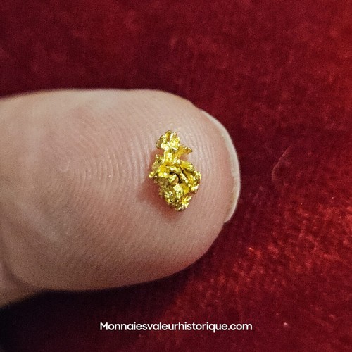 Pépite naturelle - pépite, d'or