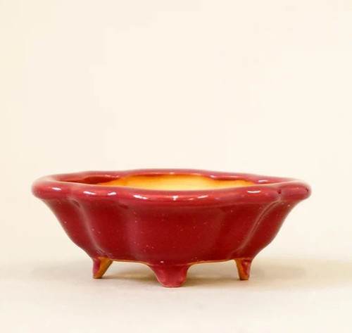 Pot bonsaï japonais - à,