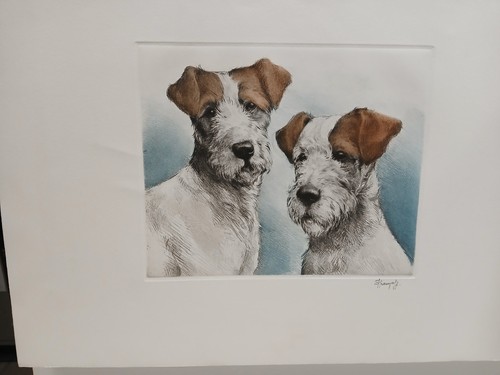 Eau forte les fox terrier - eau-forte, "les