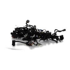 Faisceau électrique - KTM