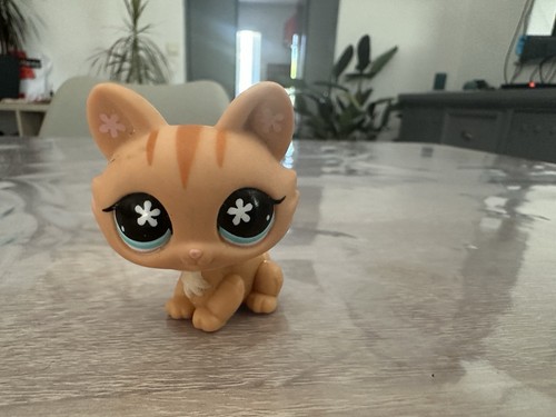 Petshop chat sphynx 649 - sphynx, #649