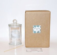 DIY Rainforest Terrarium Kit Glass Plant Terrarium Starter Kit Fool Proof