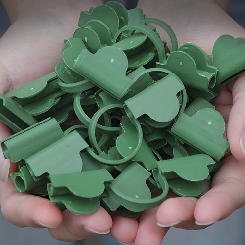 Clips serre plastique - clips, en