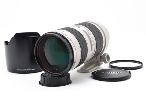 Near mint hood canon ef - mint,